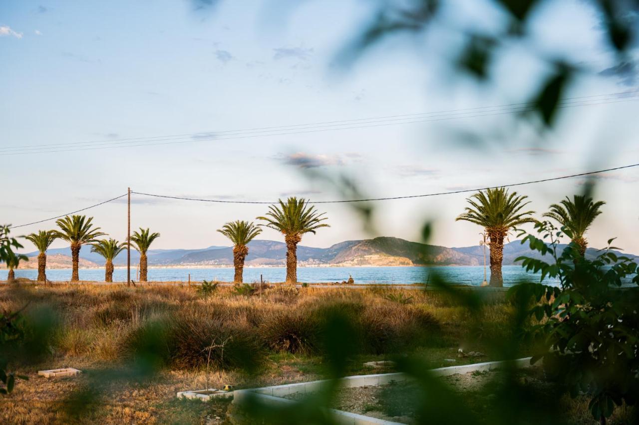 Sea View Residence Νέα Κίος Εξωτερικό φωτογραφία