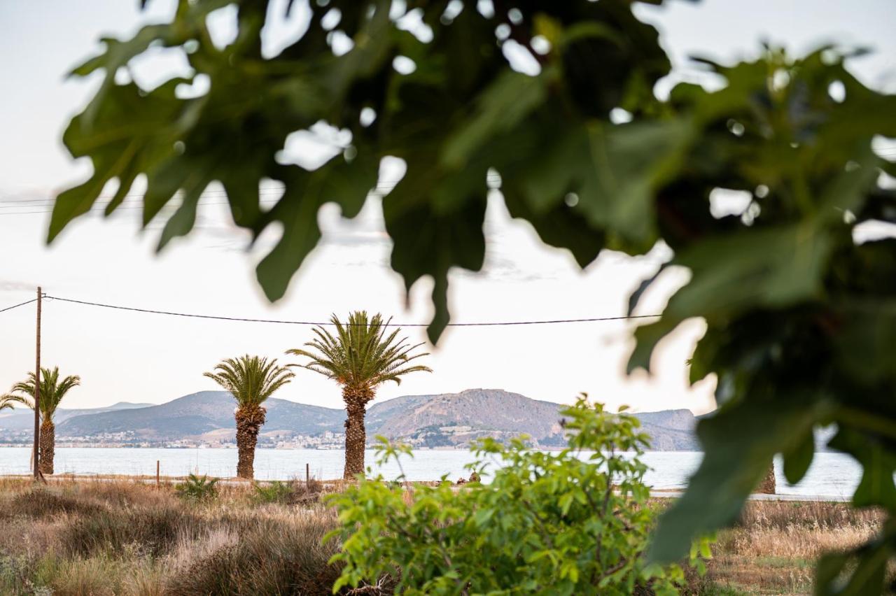 Sea View Residence Νέα Κίος Εξωτερικό φωτογραφία
